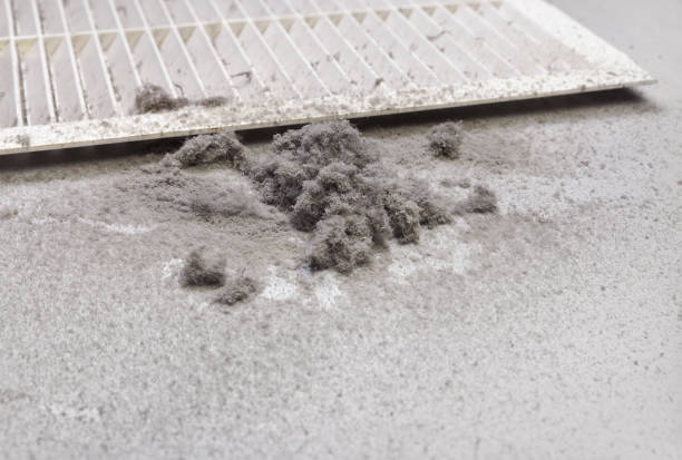 Best HVAC System Cleaning  in Heber Overgaard, AZ