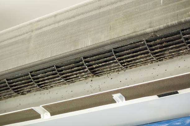 Best HVAC Maintenance and Cleaning  in Heber Overgaard, AZ